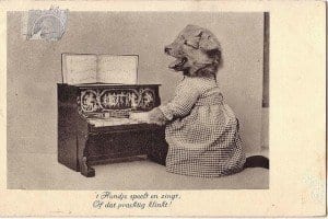 Vintage Dutch Dog Playing Piano | NYC Dog Trainer Services & Dog Wellness |