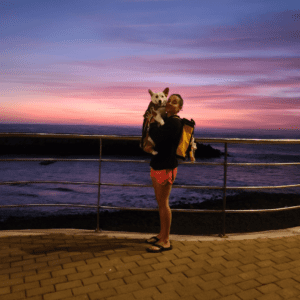 Service Dog Initial Consultation